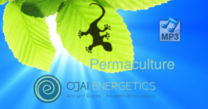 Ojai Energetics Permaculture Business and Products