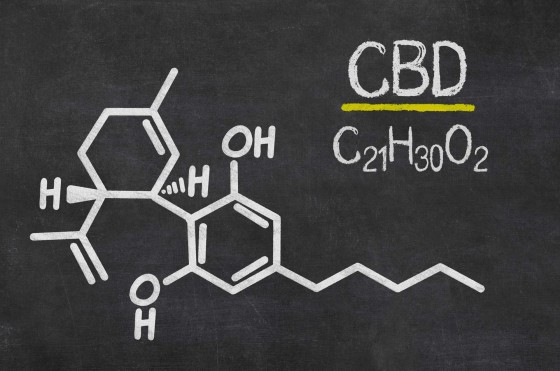 What is CBD