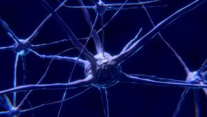 purple nerves