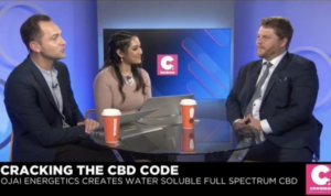 ojai energetics on news