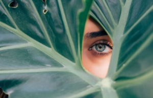 cbd-skincare-blog