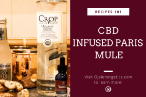 Ojai Energetics CBD Infused Paris Mule