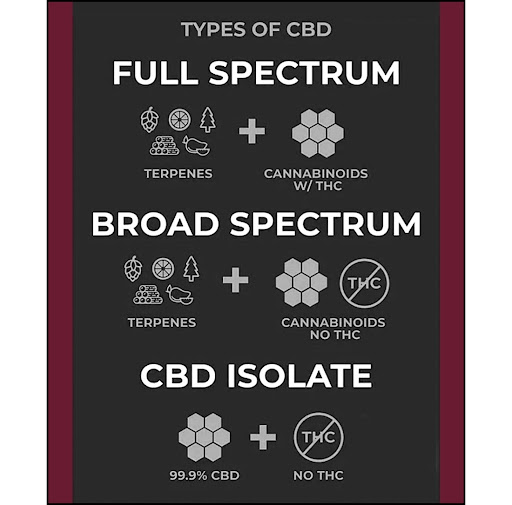 infographic-of-cbd-types